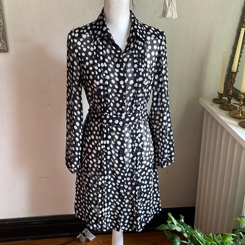 Vintage polka dot sheer dress